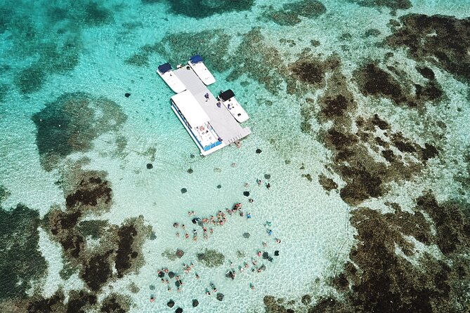 stingray-city-experience-antigua-round-trip-included