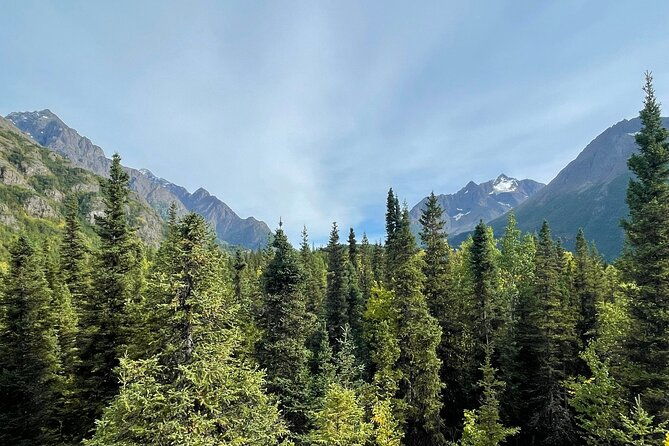 summer-valley-and-forest-hike