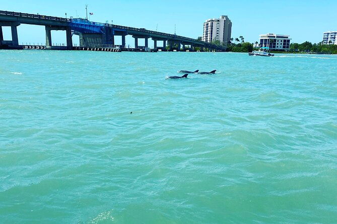 sunset-and-dolphin-cruise-around-fort-myers-beach