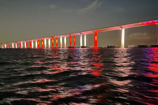 sunset-cruises-dolphin-tours-skyway-bridge-tours-shelling-snorkel