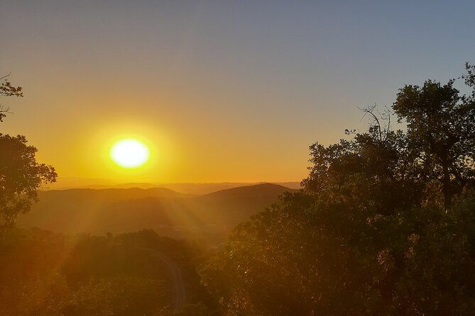 sunset-safari-4h