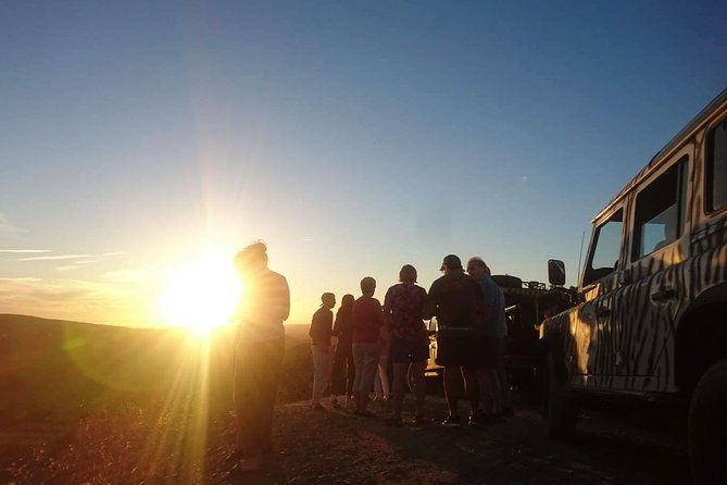 sunset-safari