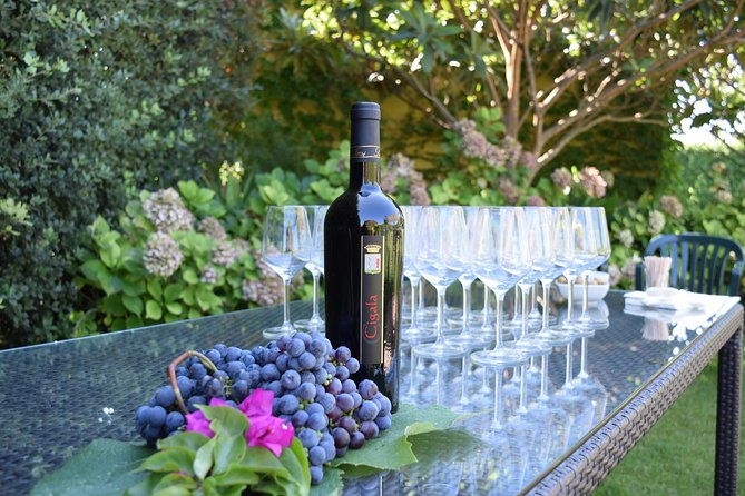 sunset-tour-with-visit-and-guided-tasting-of-5-wines-and-local-products
