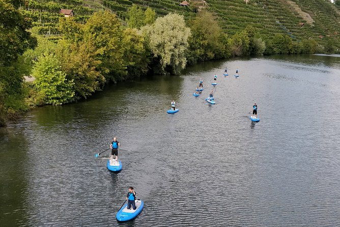sup-basic-course-stuttgart-neckar-stand-up-paddling-paddling-adventure-jones-tours