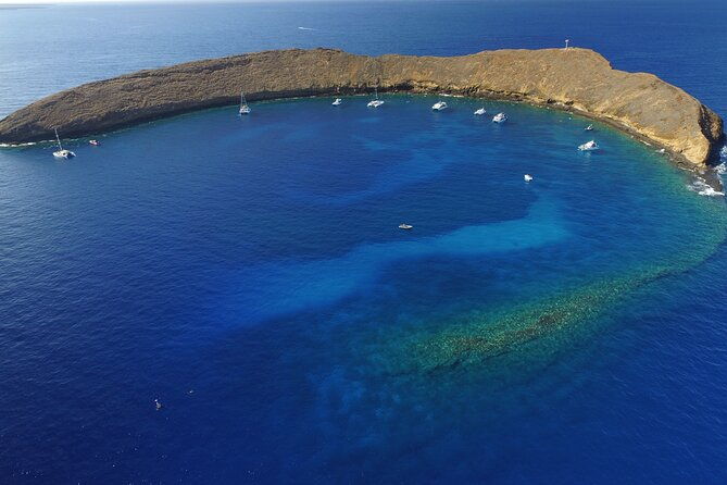 super-raft-private-charter-maui-3-hour-snorkel-to-coral-gardens-or-molokini