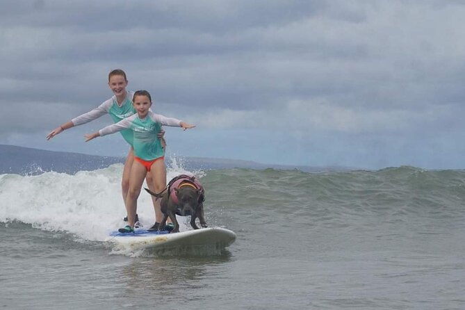 surf-with-a-service-animal