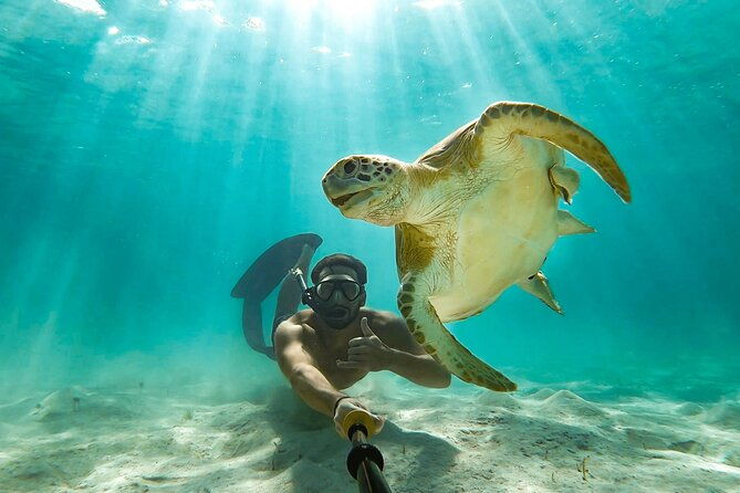 swim-with-the-pigs-half-day-harbour-island-private-boat-tour