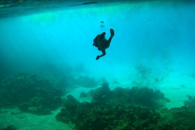 swim-with-turtles-at-turtle-bay-curacao-boat-blue-room-cave