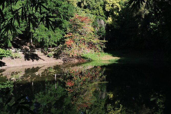 taino-valley-tropical-park-puerto-plata-tubagua