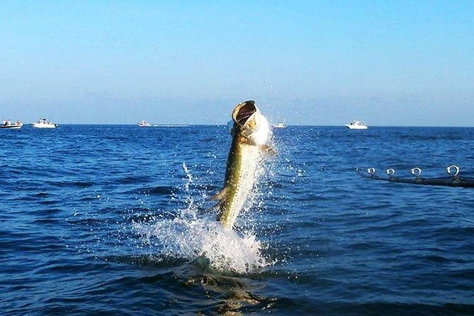 tampa-bay-inshore-fishing-charters