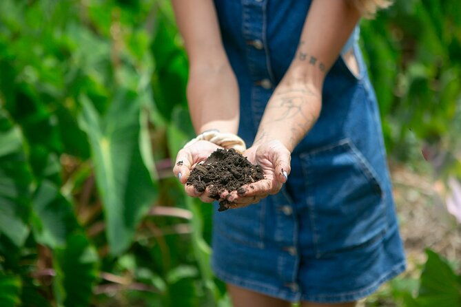 taste-of-hawaii-a-maui-farm-tour