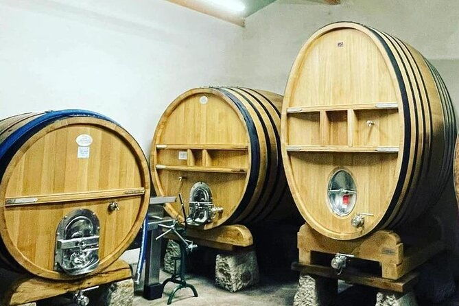 tasting-bandol-wines-visit-of-cellar-in-english