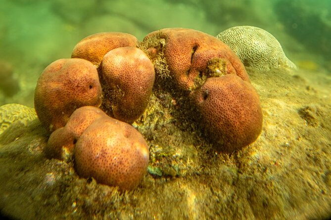 tayrona-snorkel-beach