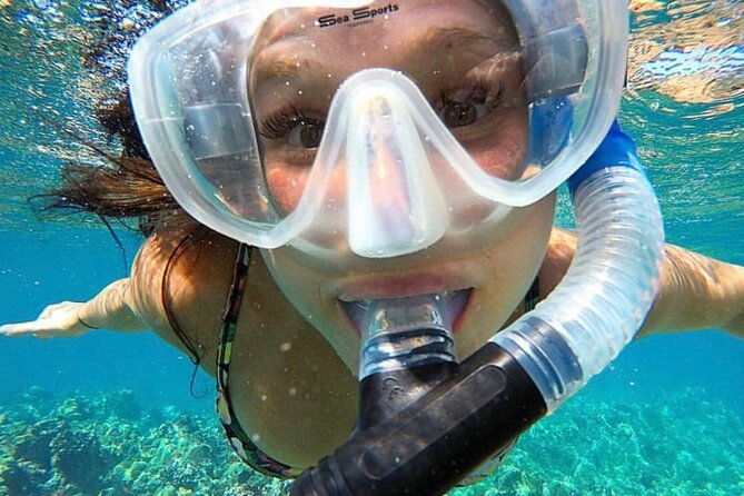 the-best-2-5-hour-molokini-snorkel-tour-whale-watch-2