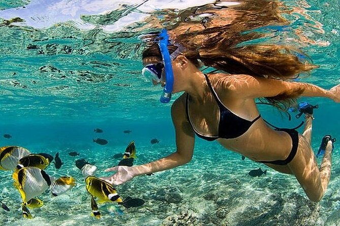 the-best-excursions-from-punta-cana-buggiessaonaand-much-more