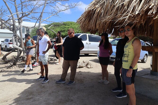 the-essential-island-highlights-tour