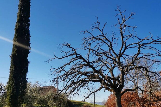 the-spell-of-lake-trasimeno-trekking-tour