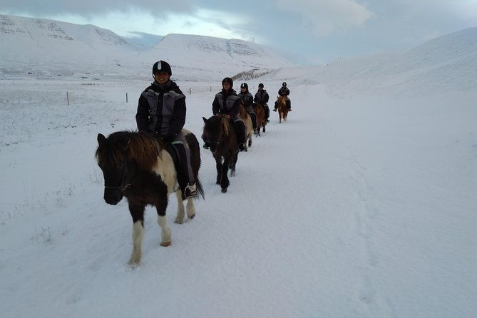 the-viking-horse-riding-experience-in-north-iceland