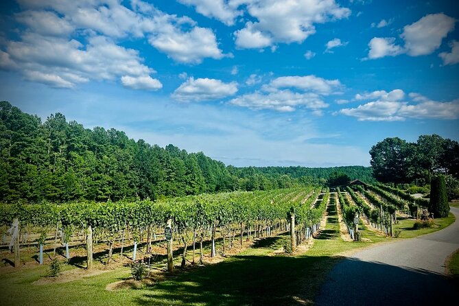 three-vineyards-half-day-private-wine-tour-from-asheville