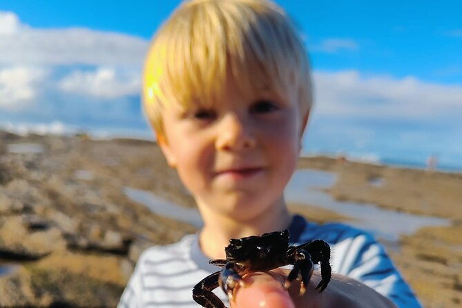 tide-pool-safari-in-monte-clerigo-beach