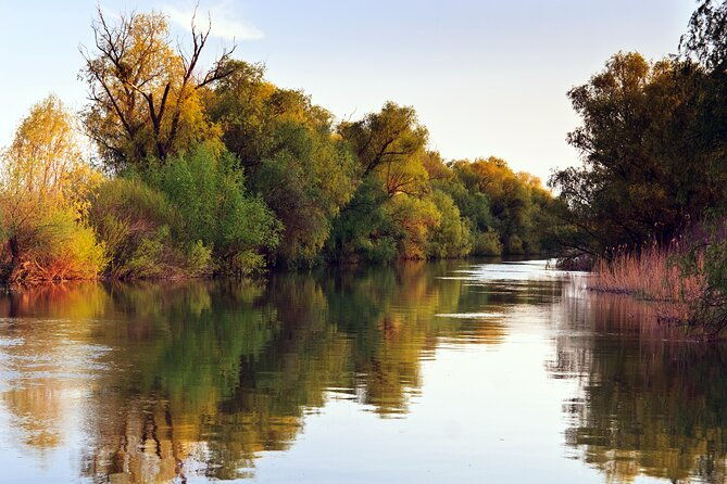 tigre-delta-small-group-tour-from-buenos-aires