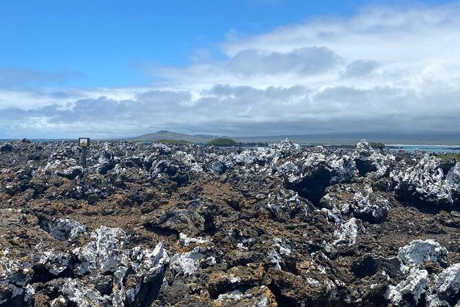tintoreras-islet-tour-from-isabela-hiking-snorkeling