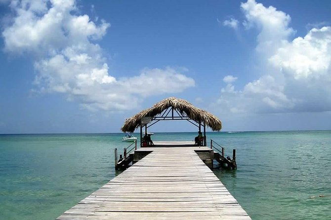 tobago-buccoo-reef-glass-bottom-boat-tour