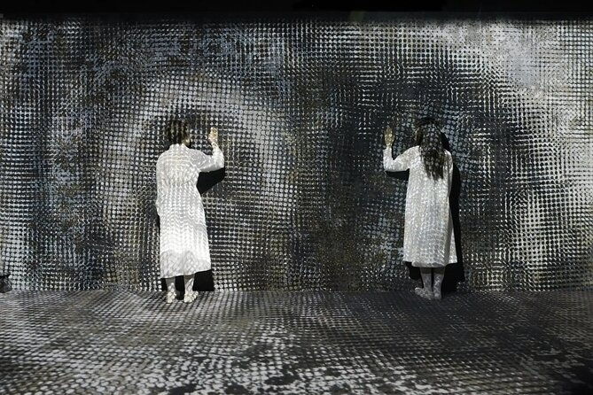 tokyo-teamlab-borderless-museum-admission-ticket