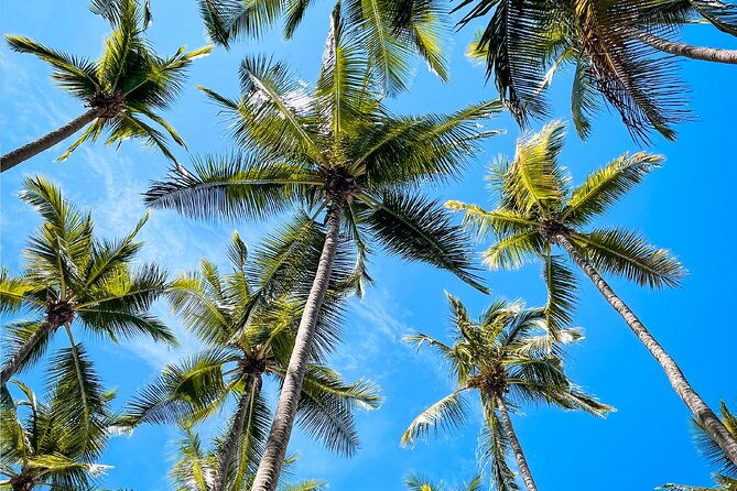 tortuga-island-full-day-tour-from-san-jose-with-lunch