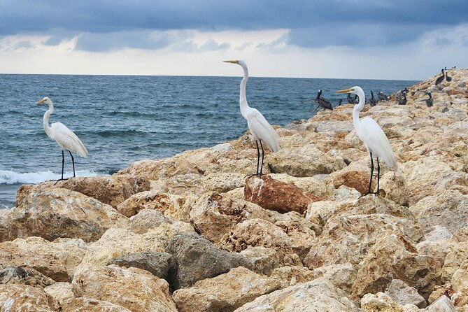 tour-privado-bilingue-ingles-espanol-en-cartagena-y-alrededores
