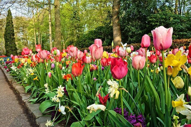 tour-to-giethoorn-and-keukenhof-tulip-fields-from-amsterdam-2