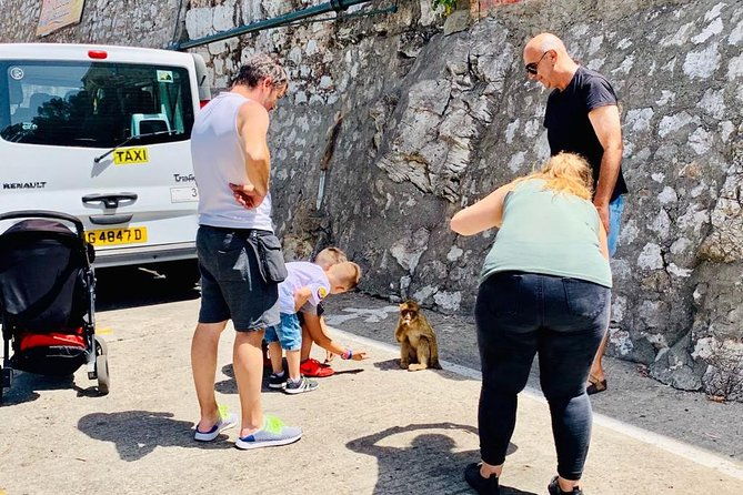tours-of-gibraltar-standard-tour