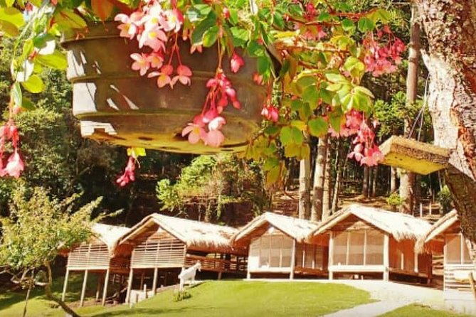 town-of-campos-do-jordao-the-brazilian-switzerland-in-a-full-day-private-tour