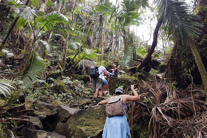 trekking-mt-liamuiga-volcano-full-day-guided