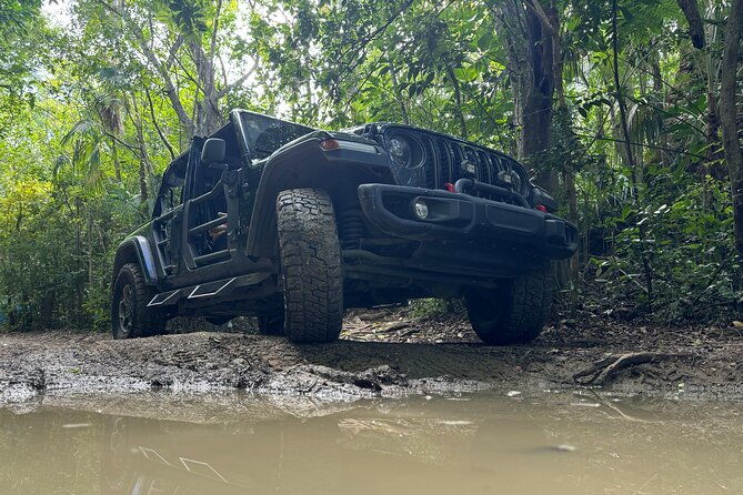 tropic-sun-island-jeep-tour