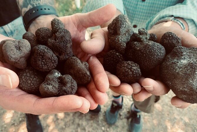 truffle-hunting-in-tuscany-2