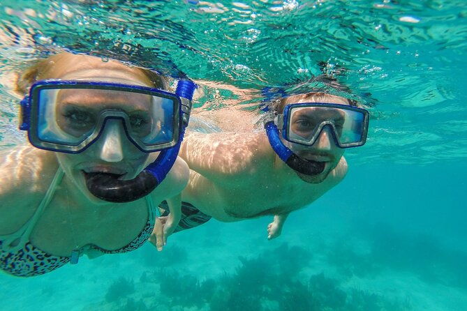 turtle-snorkel-sail-on-buck-island-from-frenchmans-reef
