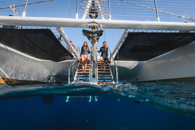 turtles-tacos-luxury-catamaran-snorkel