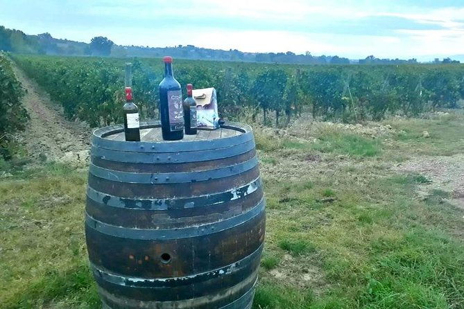 tuscany-wine-hills-from-siena