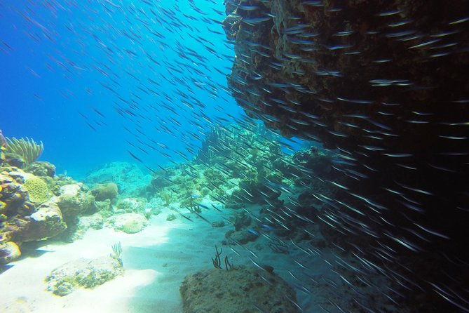 two-tank-dive-for-certified-diving-in-st-thomas