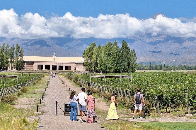 uco-valley-wineries-day-with-private-driver