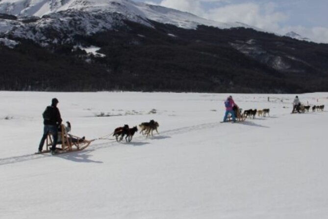 ushuaia-white-adventure-in-sleighs-with-huskys