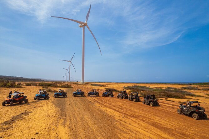 utv-buggy-expedition-in-west-coast