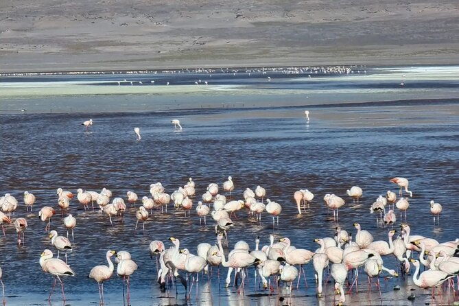 uyuni-bolivia-salt-flats-3-days-tour-promotion