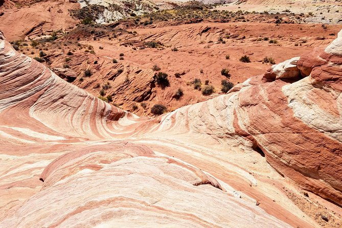 valley-of-fire-guided-hiking-tour-from-las-vegas