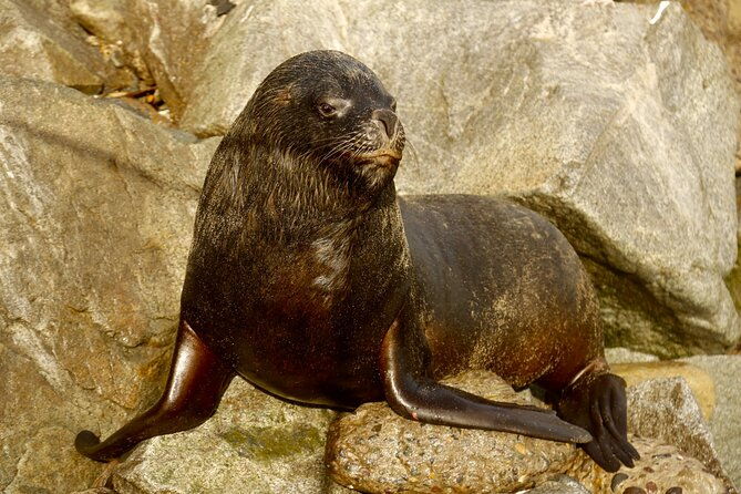 valparaiso-port-and-vina-del-mar-full-day-tour-from-santiago