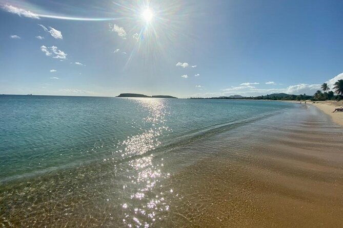vieques-bio-bay-tour-and-beach-day-trip-from-san-juan-by-ferry