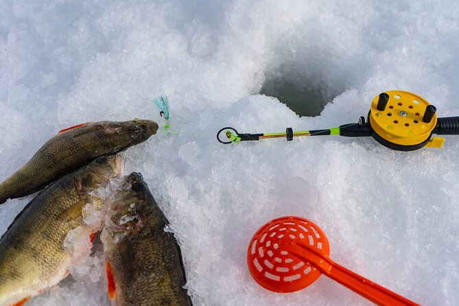 vip-ice-fishing-icebreaker-lunch-in-glass-igloo