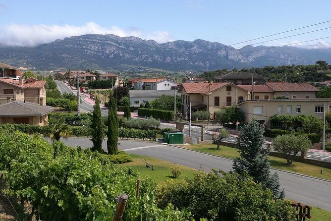 visit-a-winery-in-rioja