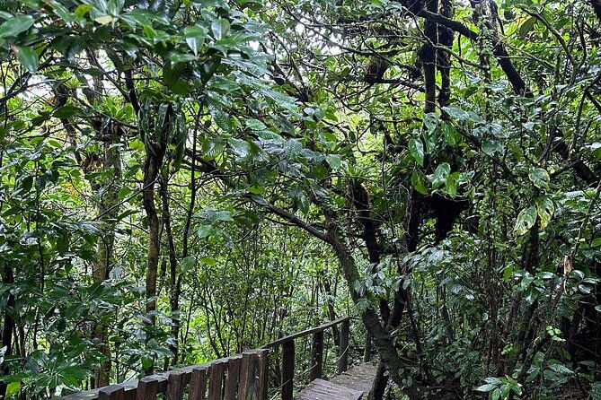 volcano-mombacho-adventure-in-the-cloud-forest-apoyo-lake